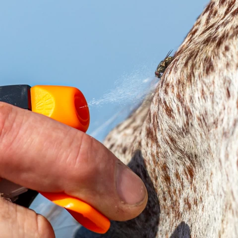 Spray contro gli insetti, Pharmakas CLAC, 1000 ml :: 1000 ml