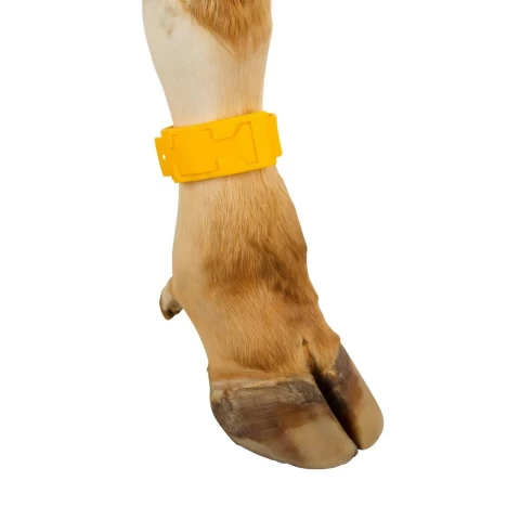 Bracciale a marchio per mucca, plastica, giallo