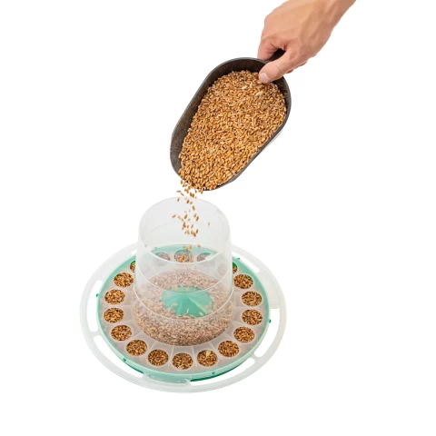 Mangiatoia per uccelli sospesa, plastica verde