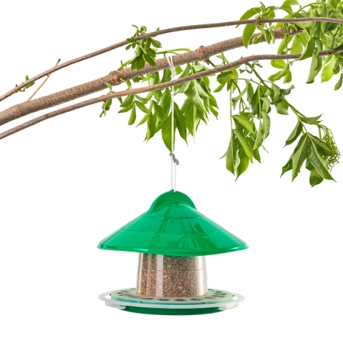 Mangiatoia per uccelli sospesa, plastica verde