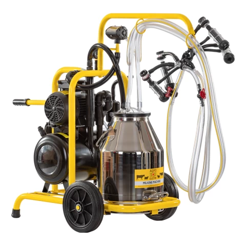 Mungitrice per pecore, 2 posti, 1 bidone acciaio inox 30 litri