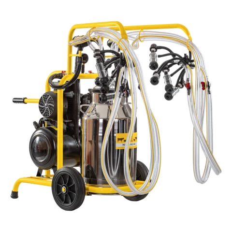 Mungitrice per pecore, 4 posti, 1 bidone acciaio inox 40 litri