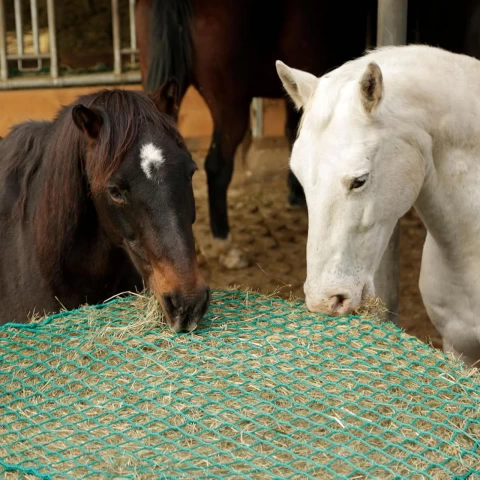 Rete per l'alimentazione dei cavalli, 160 × 160 cm