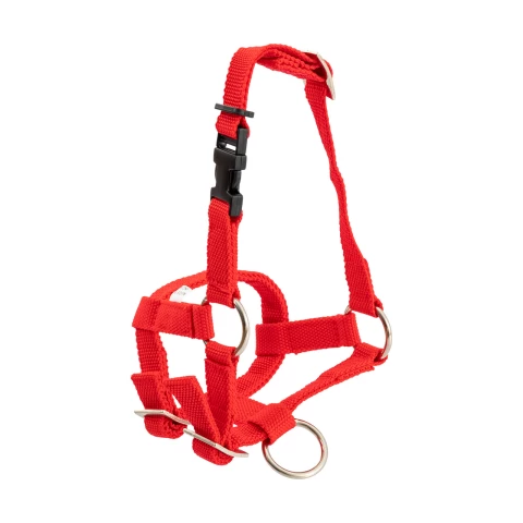 Briglia per alpaca, rosso