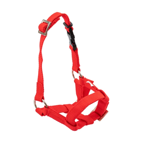 Briglia per alpaca, rosso