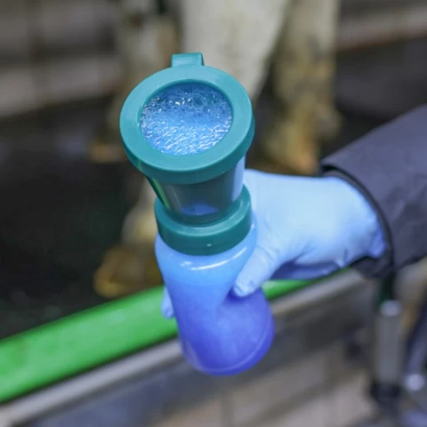 Bicchiere per la disinfezione dei capezzoli, FoamExpert (con schiuma), 300 ml