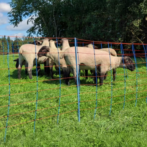 Rete per recinto elettrico, TitanNet Premium, 50 m × 90 cm