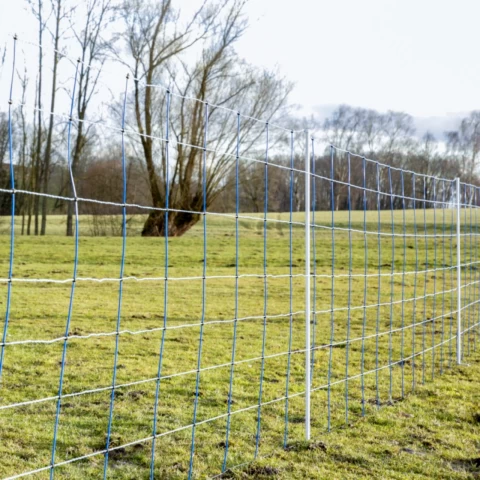 Rete per recinto elettrico, TitanNet, 50 m × 145 cm