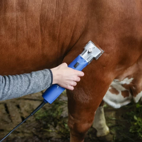 Tosatrice per bovini e cavalli, Aesculap Econom II, 230 V