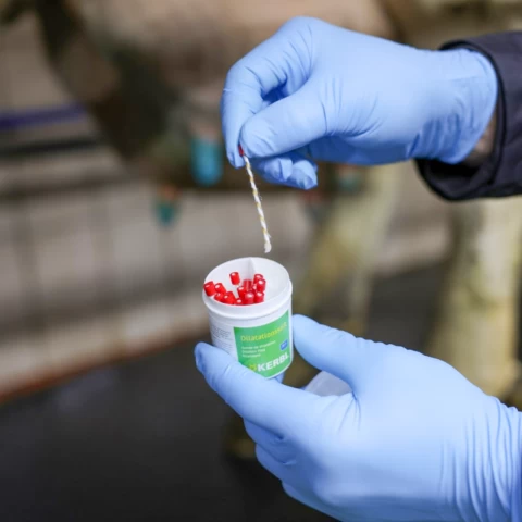 Sonda mammaria in lana per la dilatazione della mammella, 20 pz.