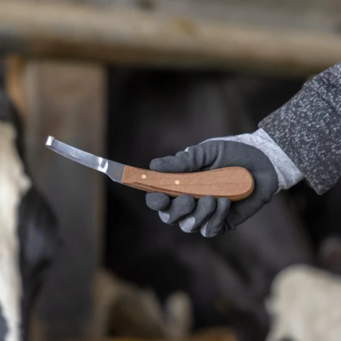 Coltello per zoccoli, a un solo taglio, per destrimani, Aesculap