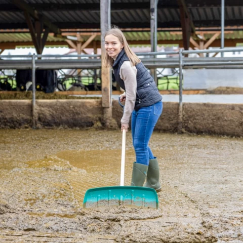 Pala per la movimentazione dei mangimi, senza manico, 65,5 × 27 cm