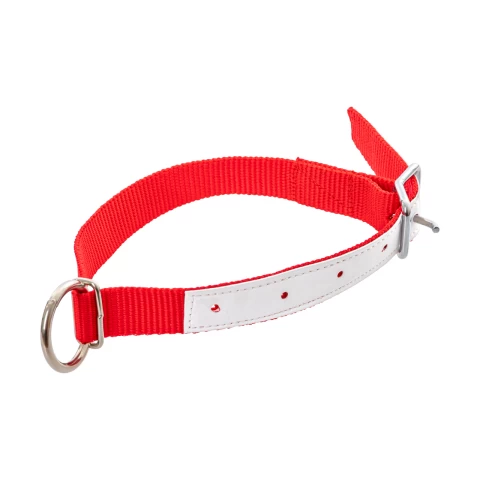 Collare per pecore, rosso, 60 cm