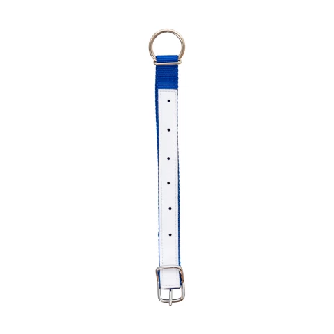 Collare per pecore, blu, 60 cm
