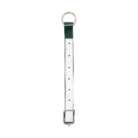 Collare per pecore, verde, 60 cm