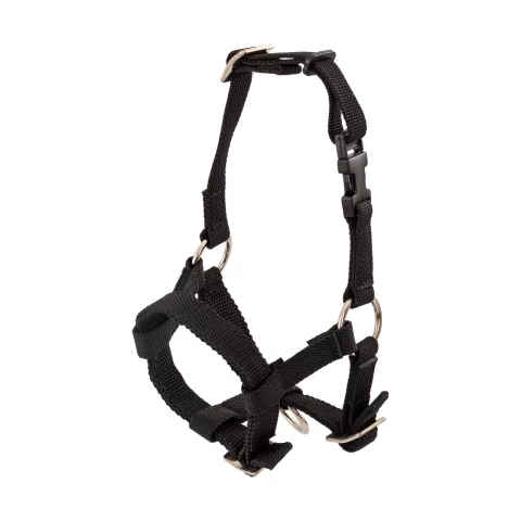 Briglia per alpaca, nero