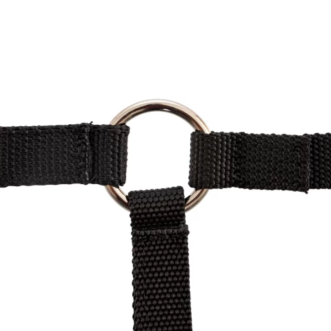 Briglia per alpaca, nero