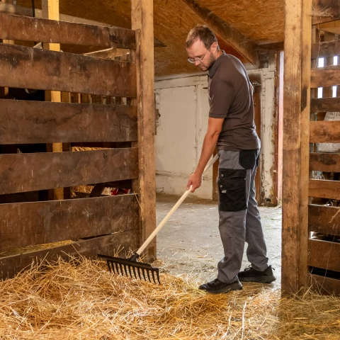 Raschietto dritto per pulire il letame, 40 cm