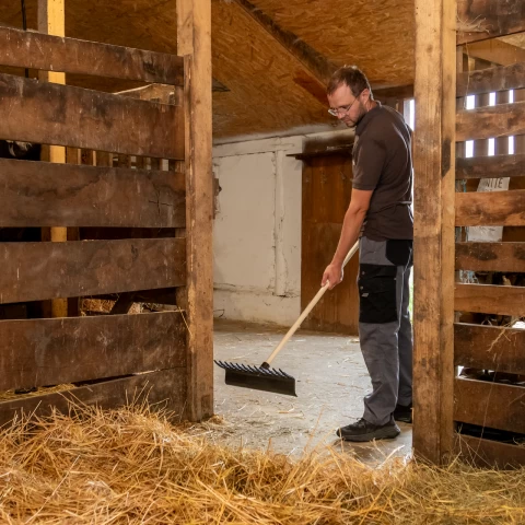 Raschietto dritto per pulire il letame, 40 cm