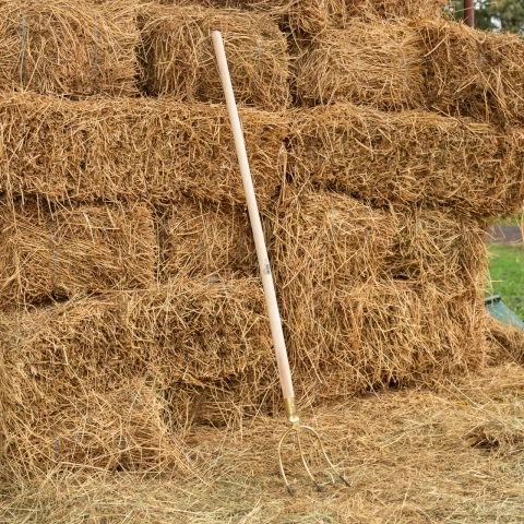 Forca per fieno e balle, con 3 corna, senza coda, 28 × 21 cm