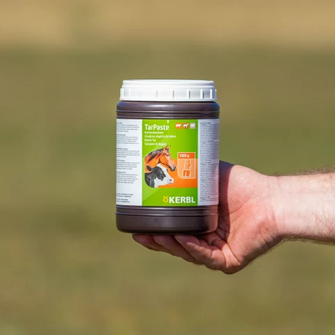 Pasta di catrame di faggio, TarPaste, 1 kg