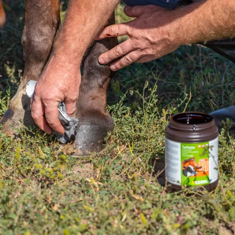 Pasta di catrame di faggio, TarPaste, 1 kg