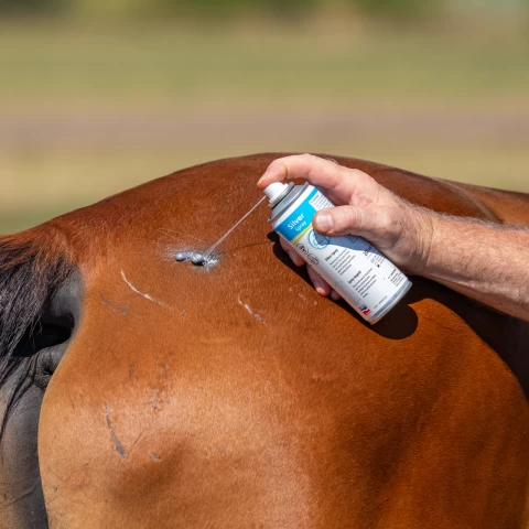 Spray colore argento per la protezione da ferite o lesioni minori, 200 ml