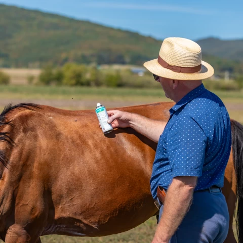 Spray all'ossido di zinco per facilitare la naturale rigenerazione della pelle degli animali, 200 ml