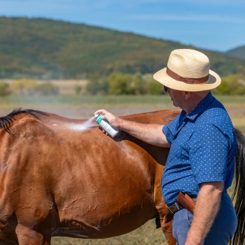 Spray all'ossido di zinco per facilitare la naturale rigenerazione della pelle degli animali, 200 ml