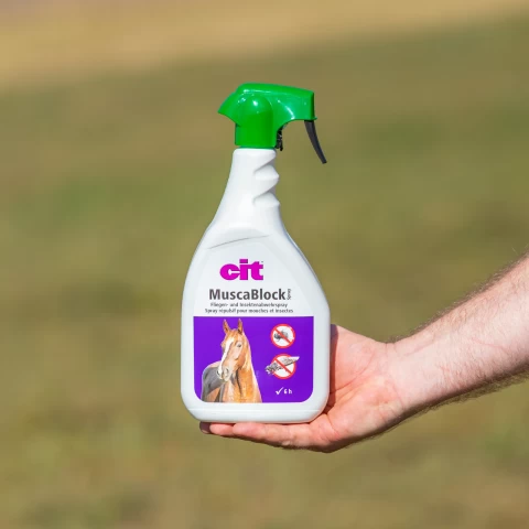 Spray contro le mosche, CIT MuscaBlock, 1 litro