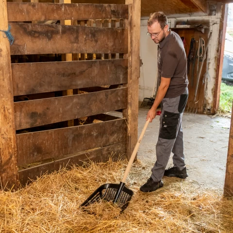 Forca per letame, nera, 37 × 43 cm