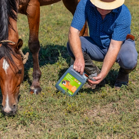 Pasta di catrame di faggio, TarPaste, 5 kg