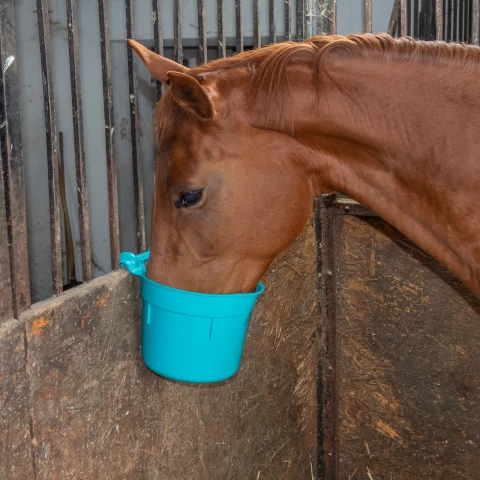 Secchio per l'alimentazione, con staffa di sospensione, forma cilindrica, turchese, 8 litri