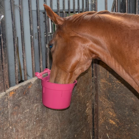 Secchio per l'alimentazione, con staffa di sospensione, forma cilindrica, bordeaux, 8 litri