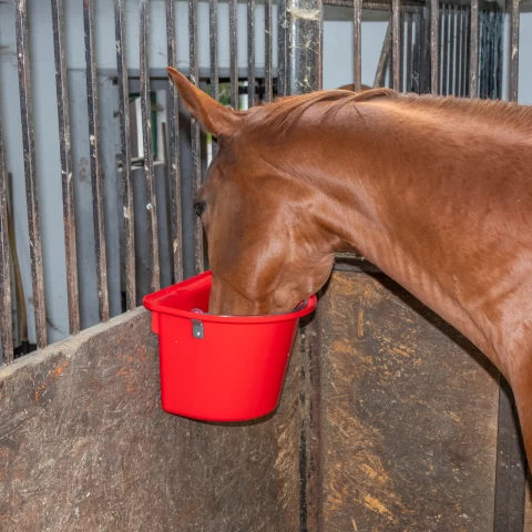 Secchio per mangime per cavalli con staffa per fissaggio e maniglia, rosso, 12 litri