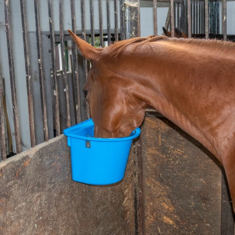 Secchio per mangime per cavalli con staffa per fissaggio e maniglia, blu, 12 litri
