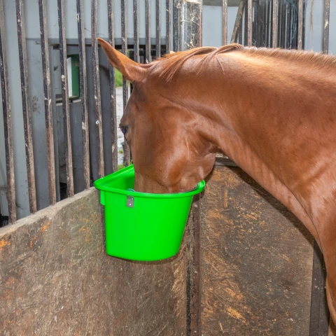 Secchio per mangime per cavalli con staffa per fissaggio e maniglia, verde, 12 litri