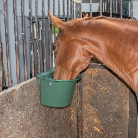 Secchio per mangime per cavalli con staffa per fissaggio e maniglia, verde scuro, 12 litri