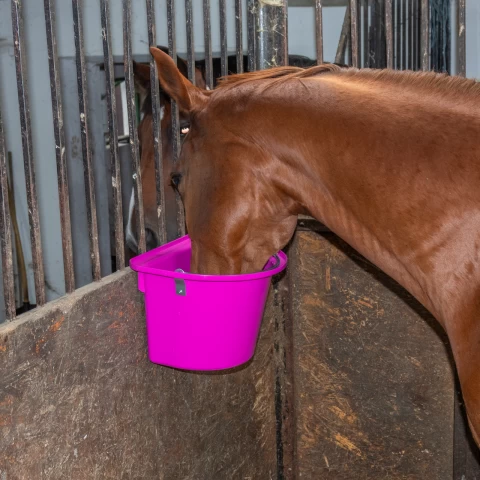 Secchio per mangime per cavalli con staffa per fissaggio e maniglia, roso, 12 litri