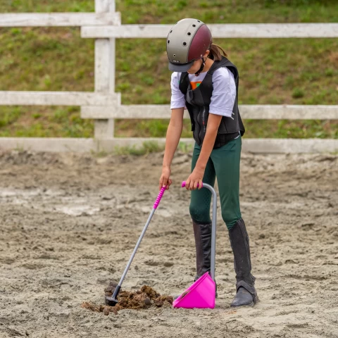 Pala Mistboy Mini con rastrello, rosa, 60 cm