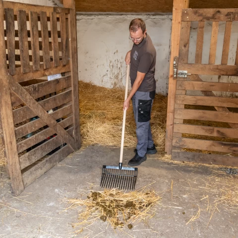 Forca per letame, PremiumFork, nera, 38 × 32 cm